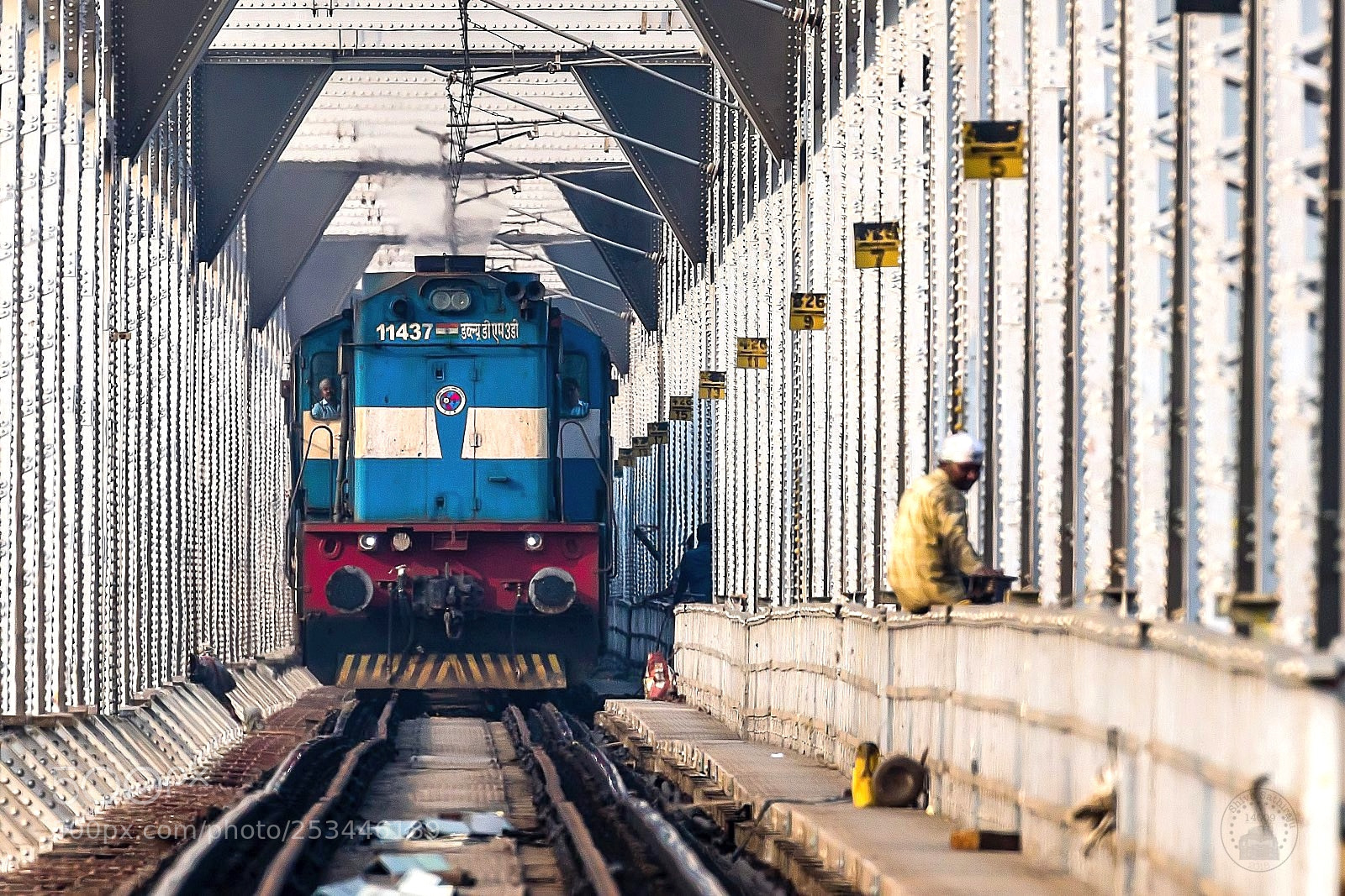 Canon EOS 80D sample photo. Gy alco wdm3d 11437 photography