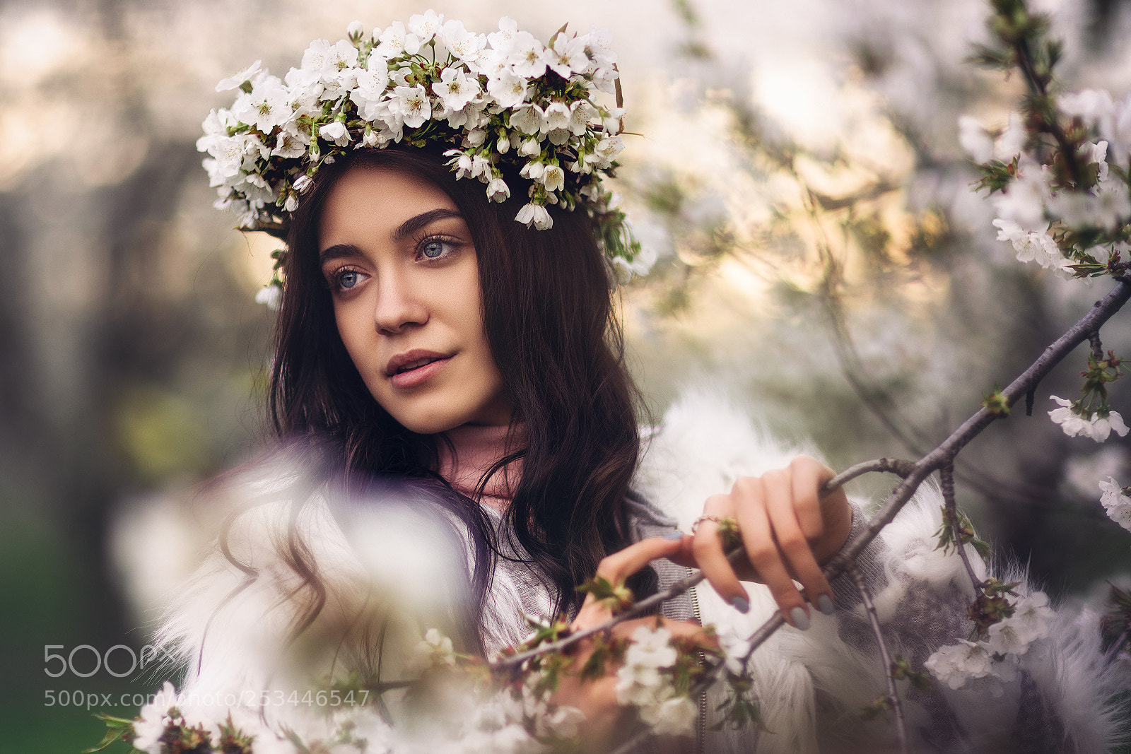 Sony a7R III sample photo. Dream on photography