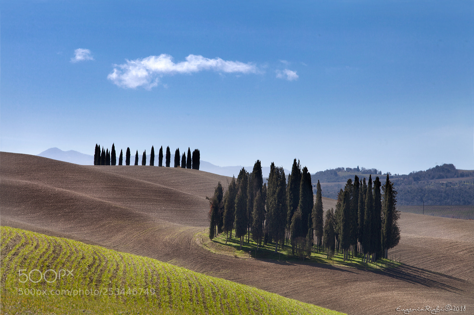 Canon EOS 5D Mark II sample photo. I cipressini photography