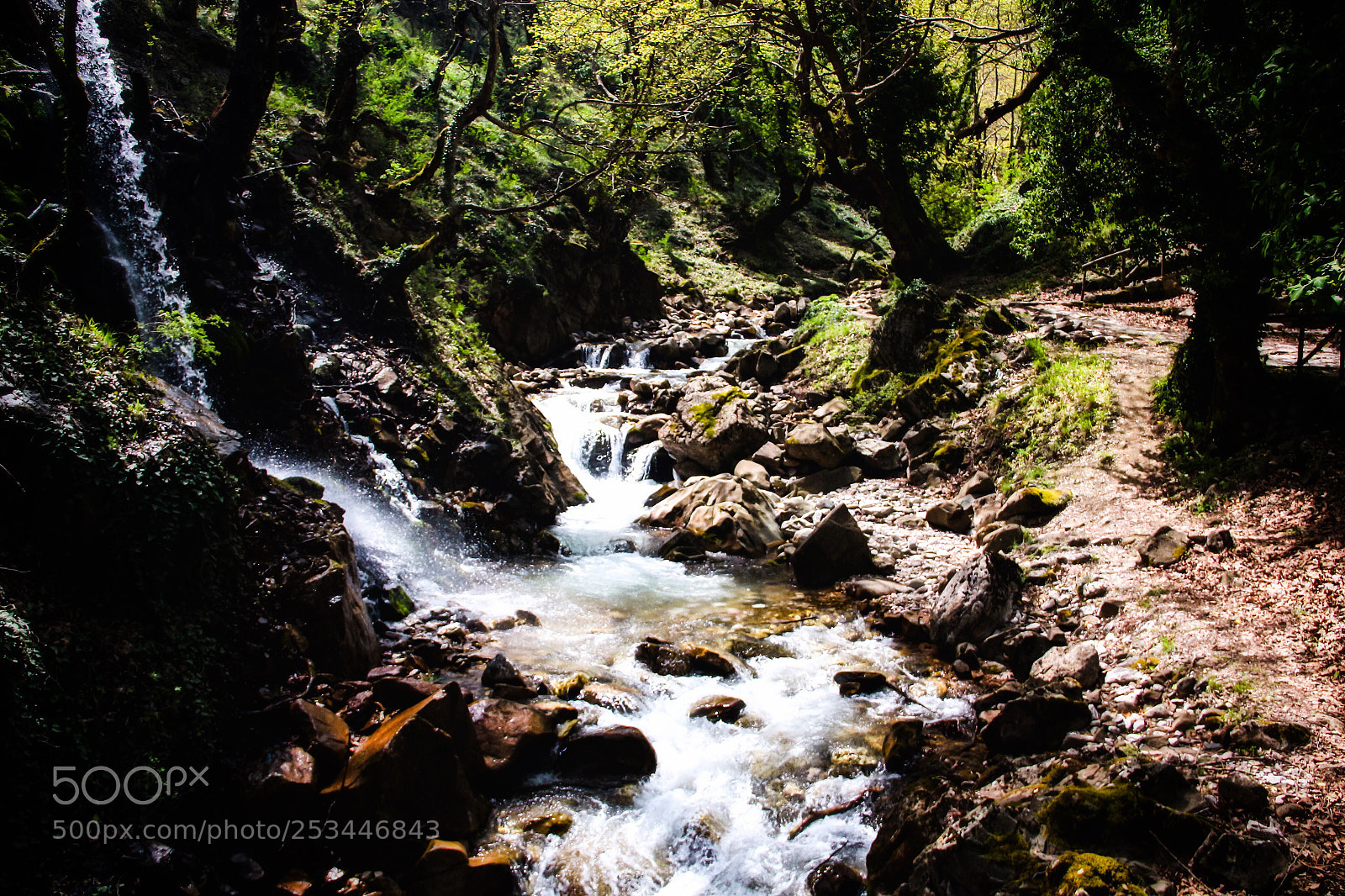 Canon EOS 700D (EOS Rebel T5i / EOS Kiss X7i) sample photo. Middle earth  photography