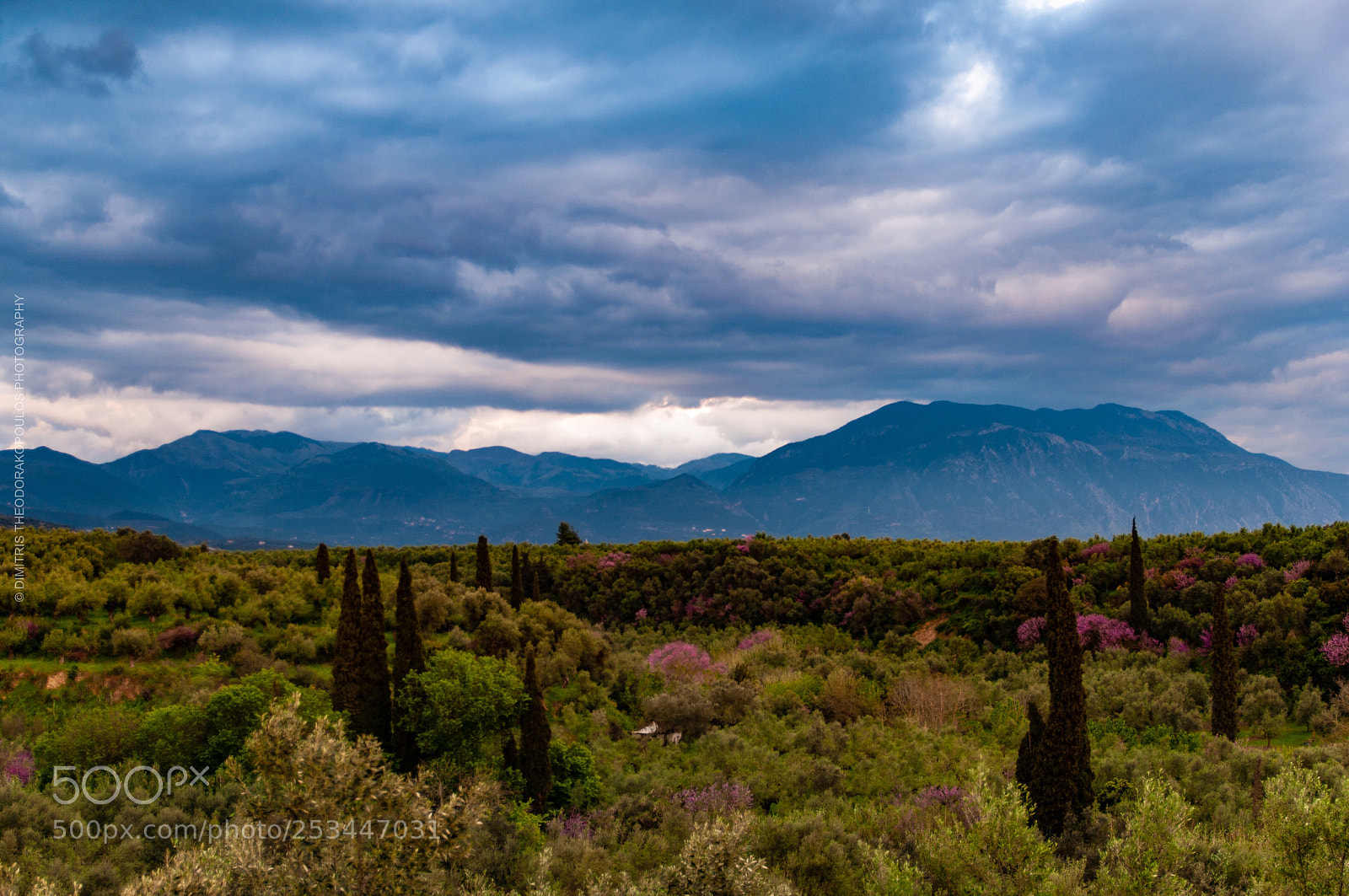 Nikon D5000 sample photo. Kalamata greece  photography