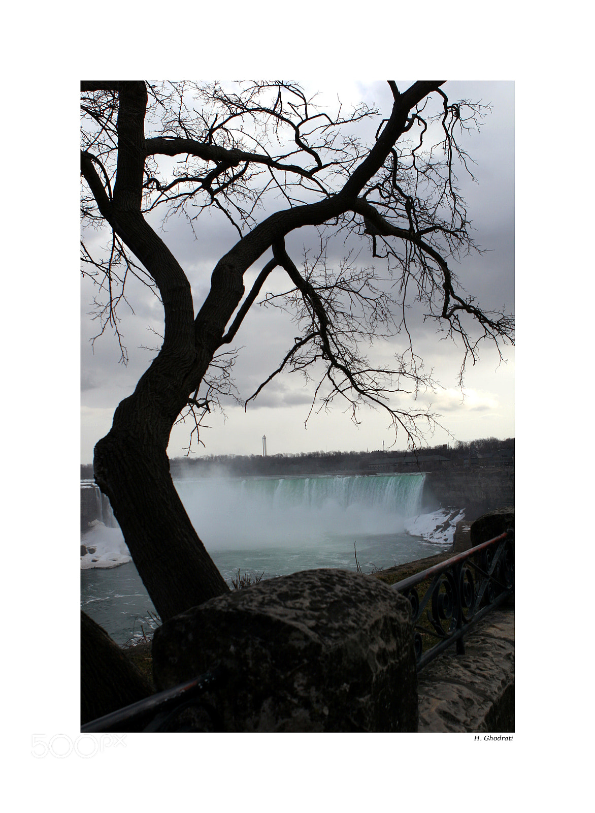Canon EOS 20D sample photo. The tree! photography