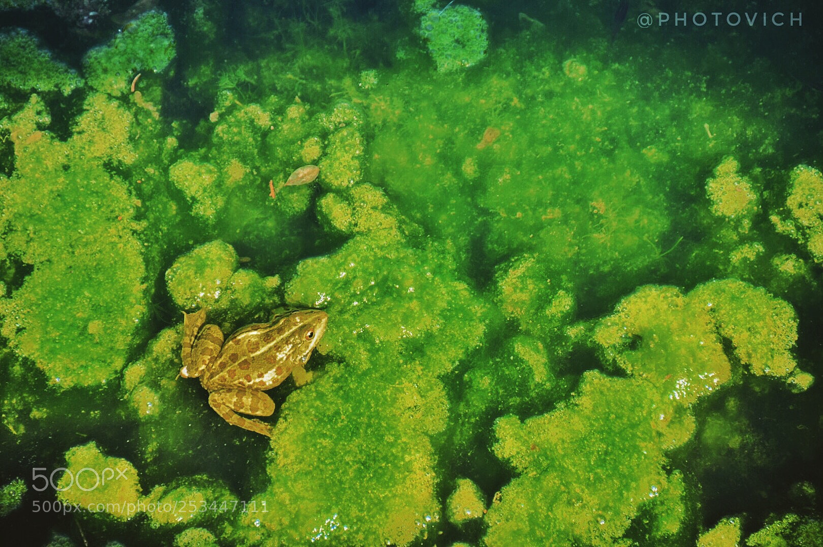 Nikon D5300 sample photo. Untitled photography