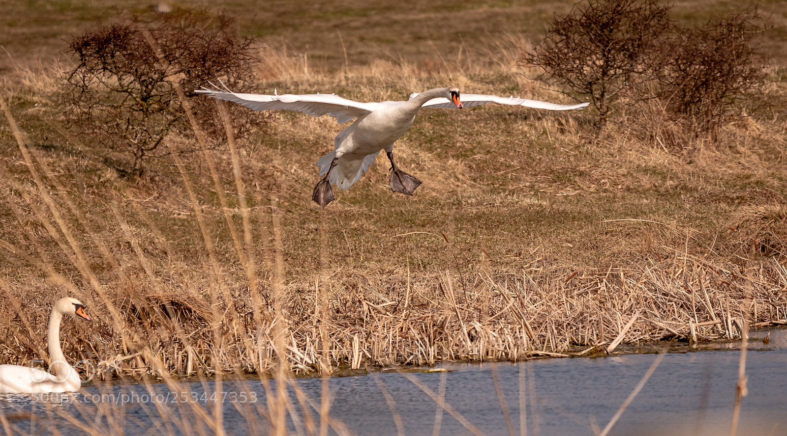 Panasonic Lumix DMC-GX85 (Lumix DMC-GX80 / Lumix DMC-GX7 Mark II) sample photo. Landing gear ready photography