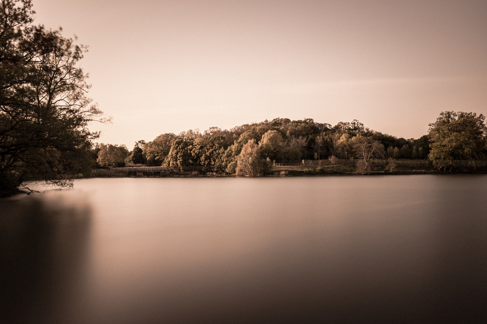 Sony Cyber-shot DSC-RX1R sample photo. Pond to swallow time photography