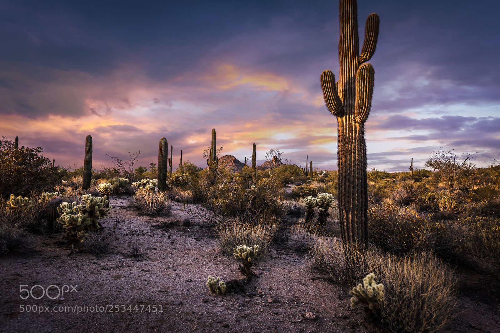 Nikon D810 sample photo. Desert sunset photography