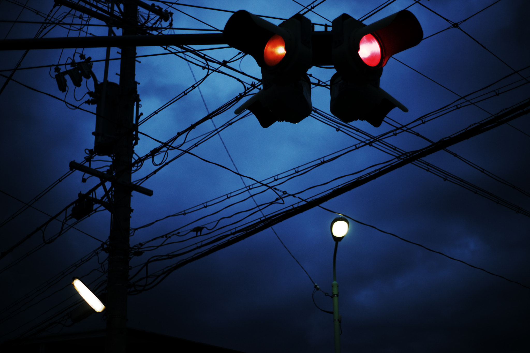 Sony Alpha DSLR-A900 sample photo. Signal photography