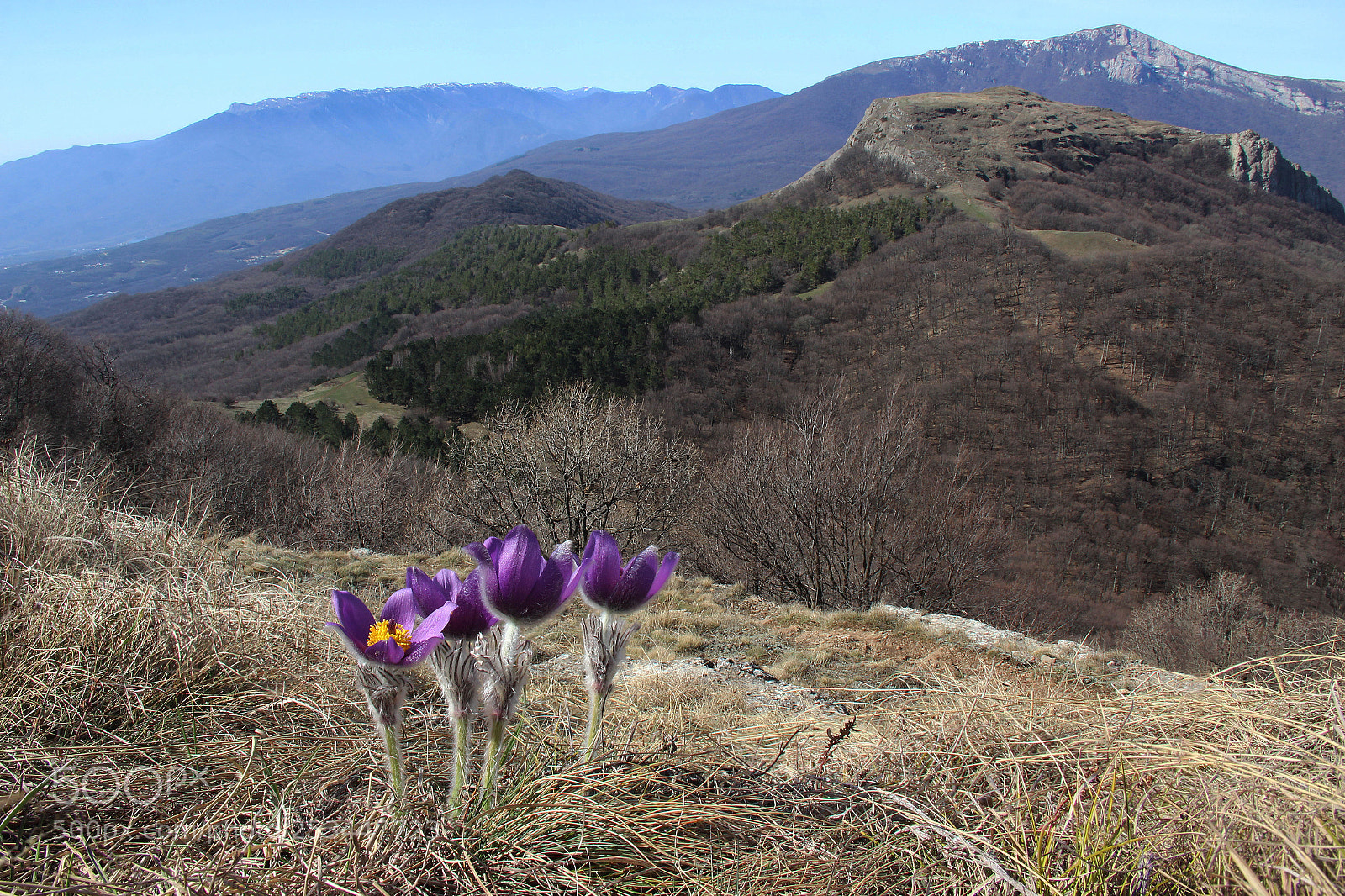 Canon EOS 600D (Rebel EOS T3i / EOS Kiss X5) sample photo. In the crimean mountains photography