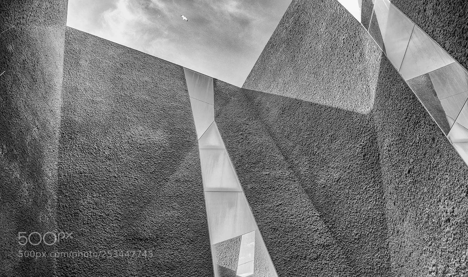 Nikon D7500 sample photo. Museu de ci ncies photography