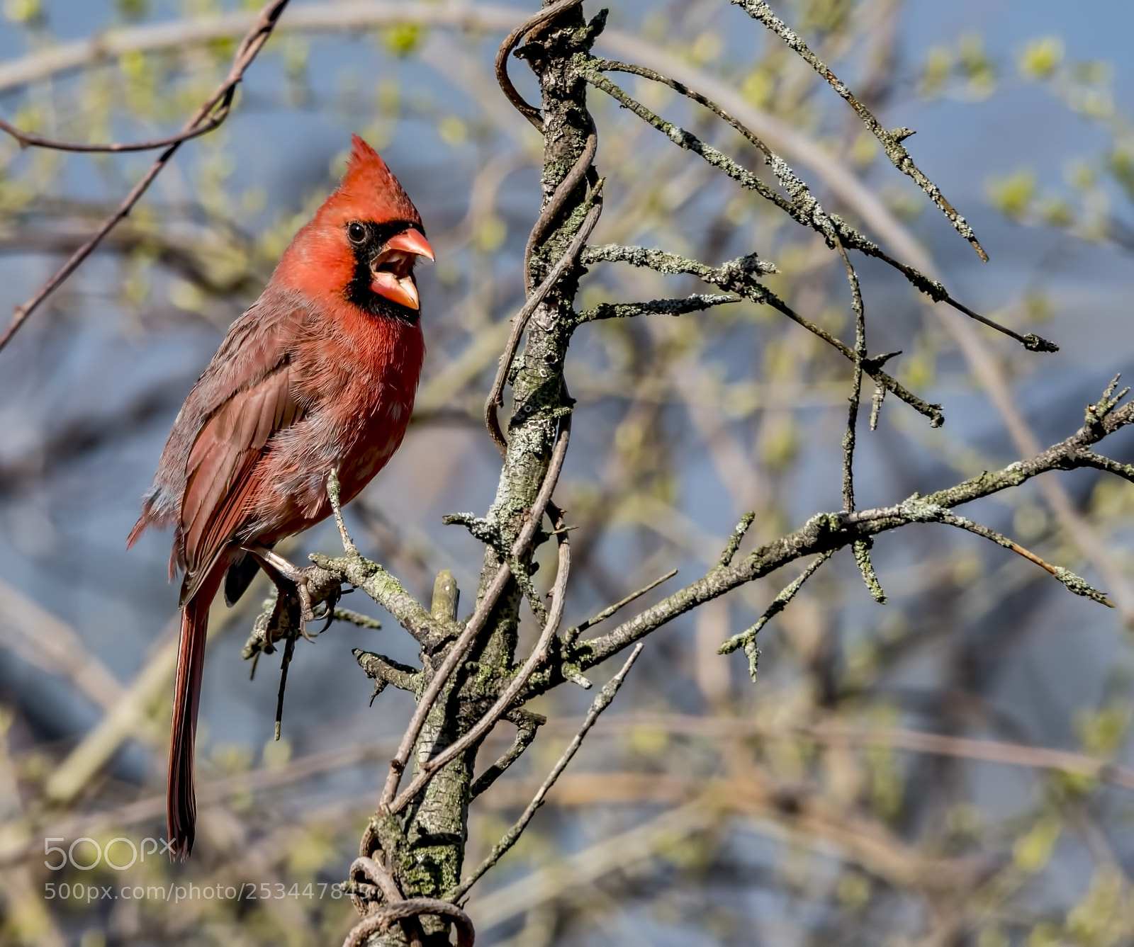 Canon EOS 7D Mark II sample photo. I said no photos! photography