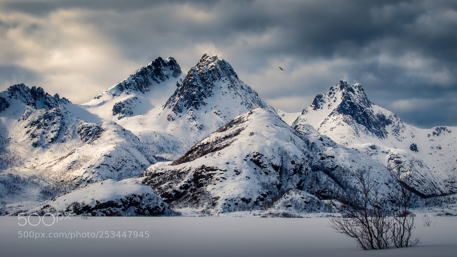 Nikon D800E sample photo. Arctic scenery in vester photography