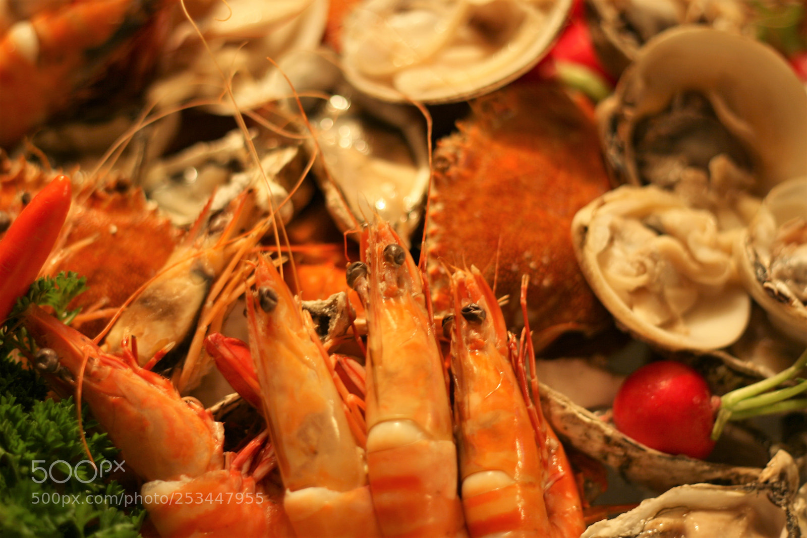 Canon EOS 30D sample photo. Sea food photography