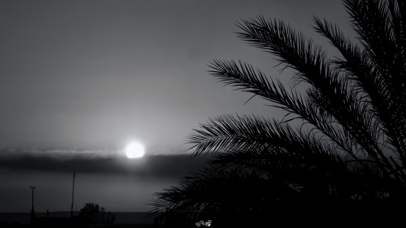 Canon POWERSHOT A540 sample photo. شروق photography
