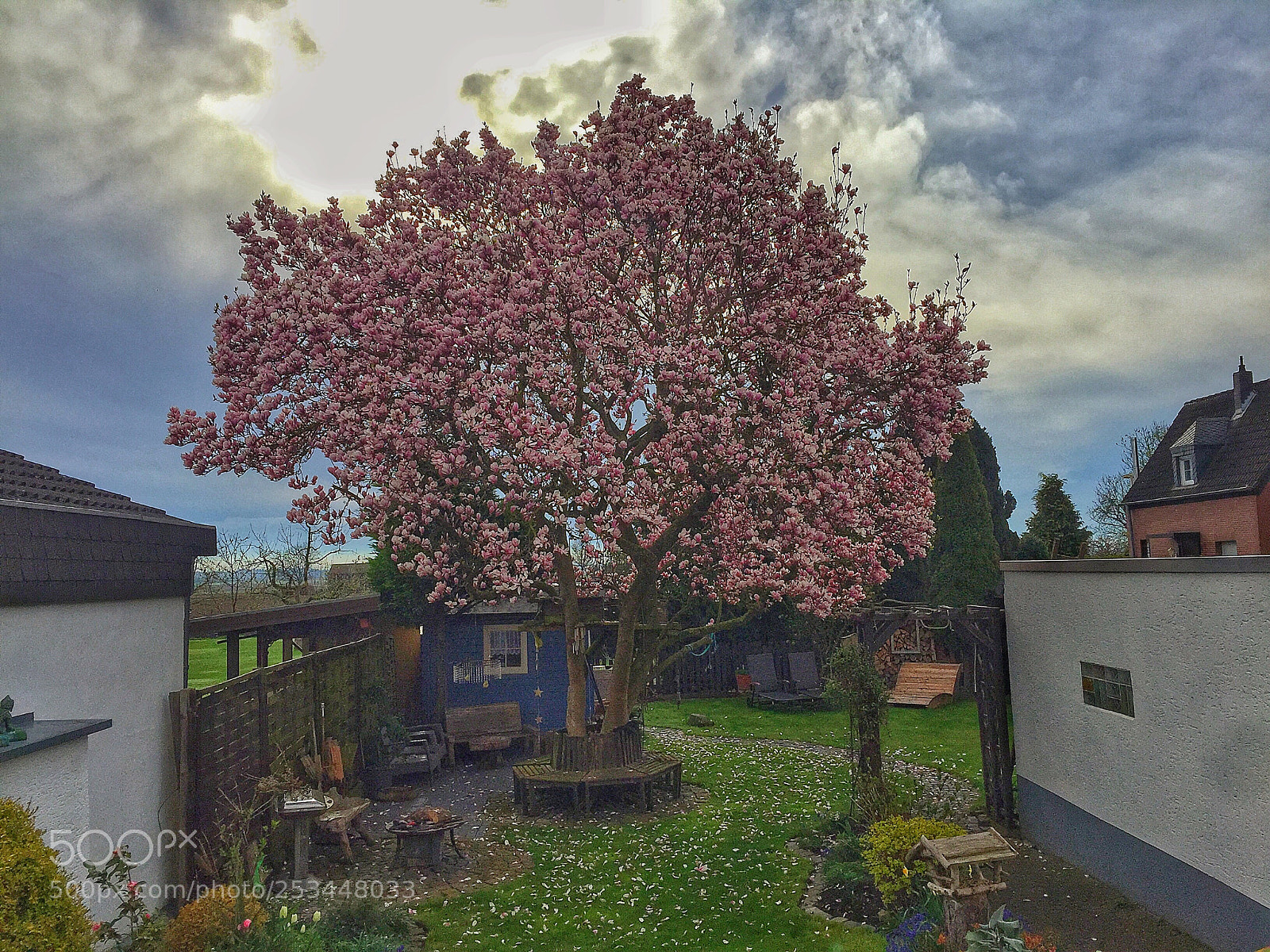 Apple iPhone 6 sample photo. Summer is coming photography