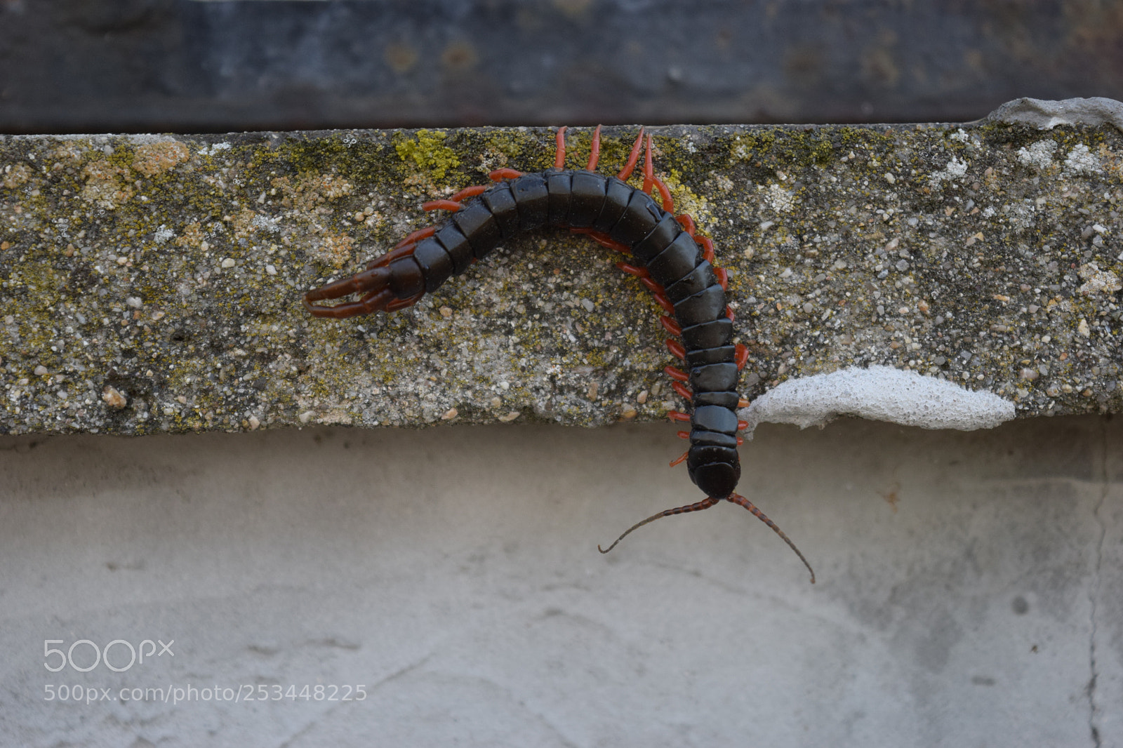 Nikon D3300 sample photo. Mr nasty photography