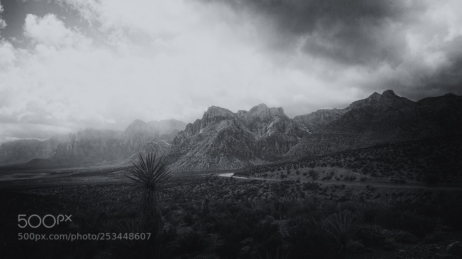 Nikon D5100 sample photo. Desert rain photography