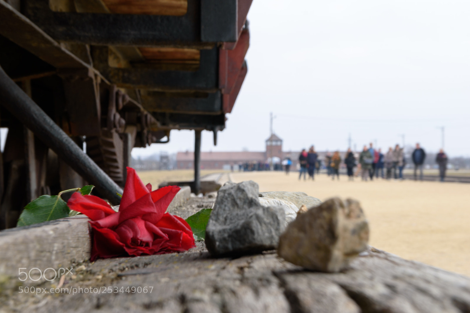 Nikon D5500 sample photo. Auschwitz birkenau photography