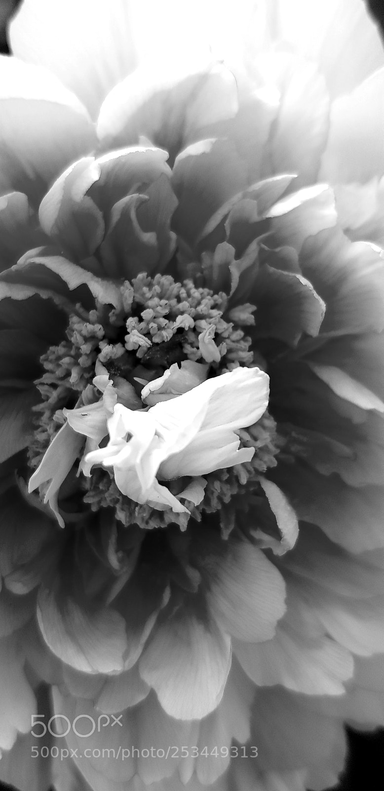 Samsung Galaxy S8 sample photo. Untitled photography