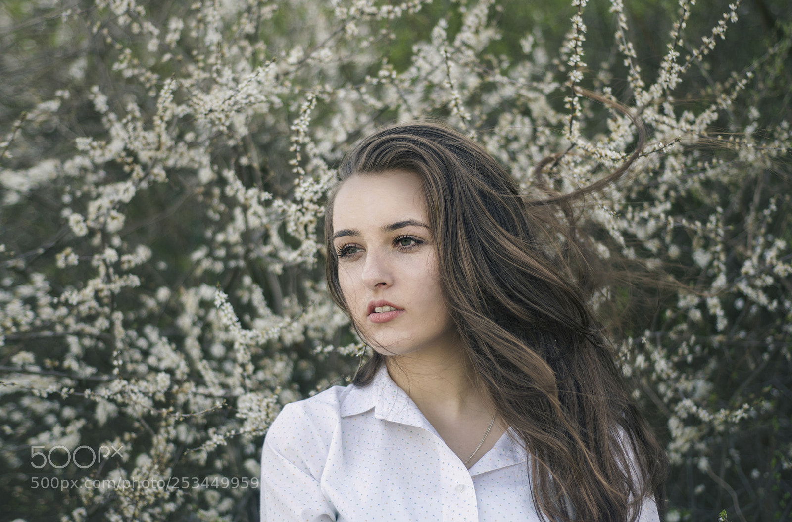 Nikon D90 sample photo. Kat photography