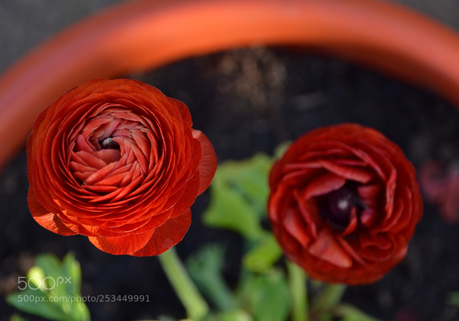Nikon D3100 sample photo. Untitled photography