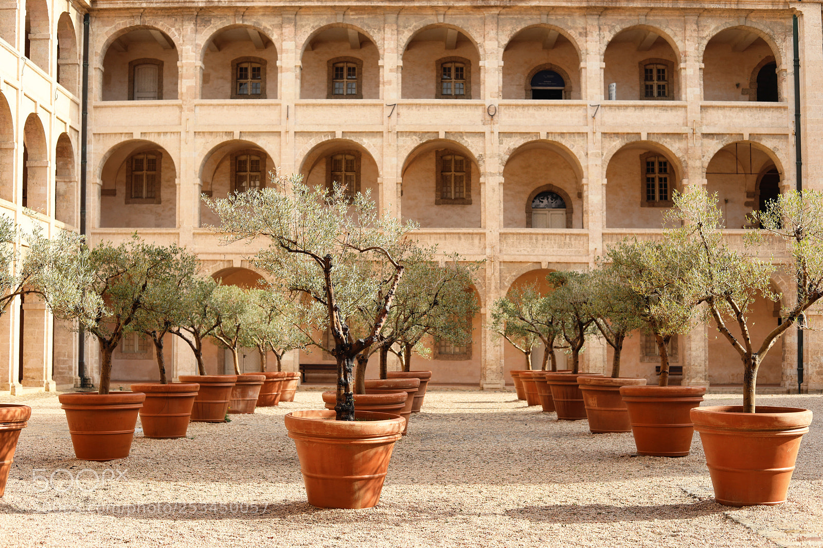 Canon EOS 5D Mark IV sample photo. Mediterranean archaeology museum in photography