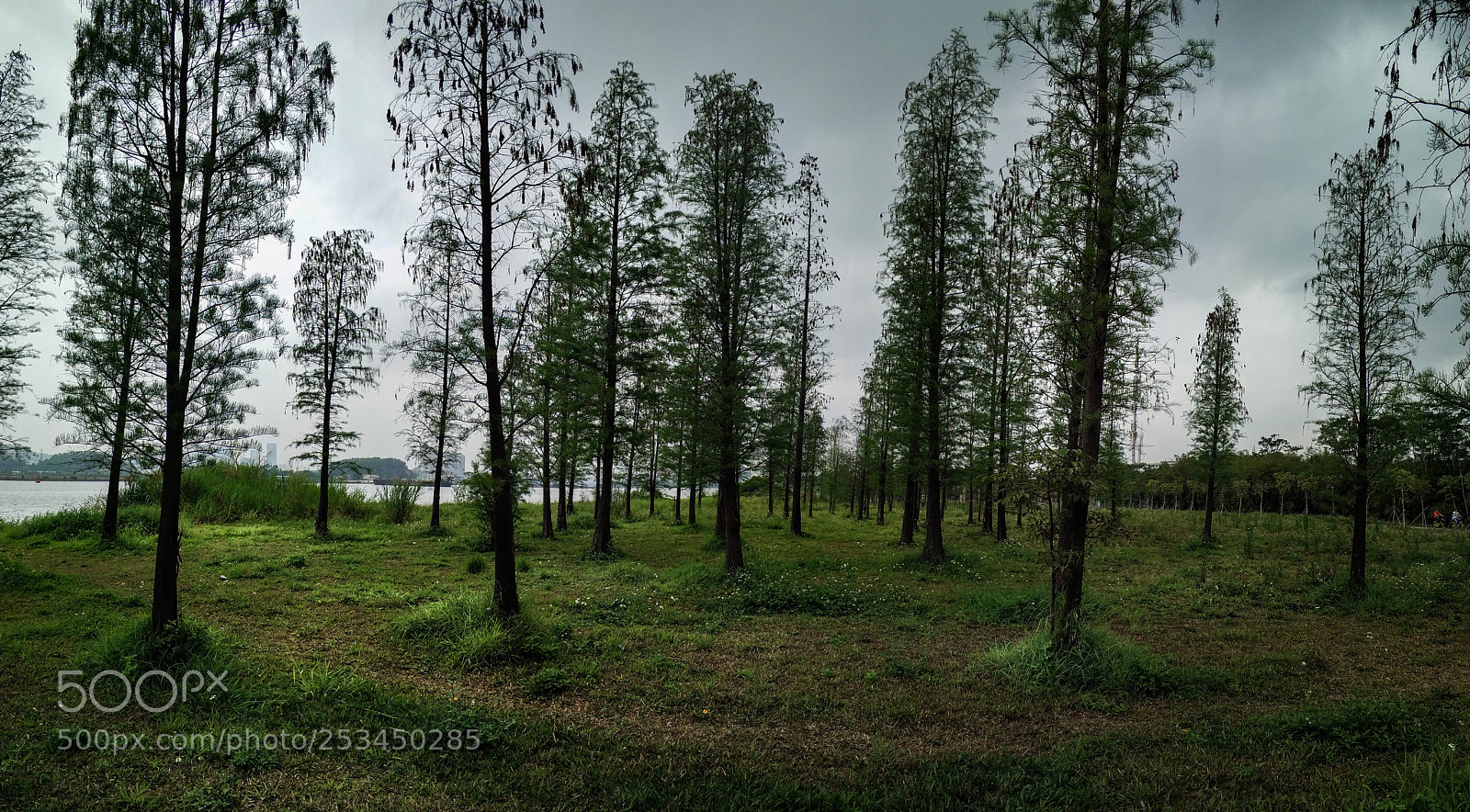Xiaomi Mi Note 3 sample photo. Before the storm photography