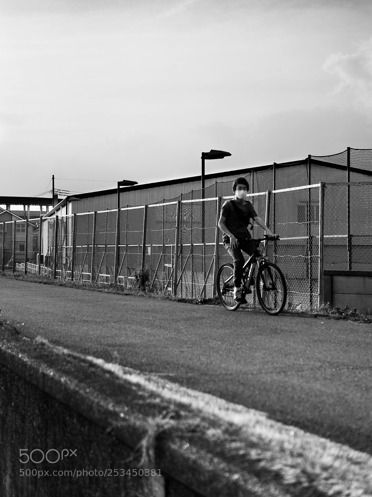 Sony a7 II sample photo. Untitled photography