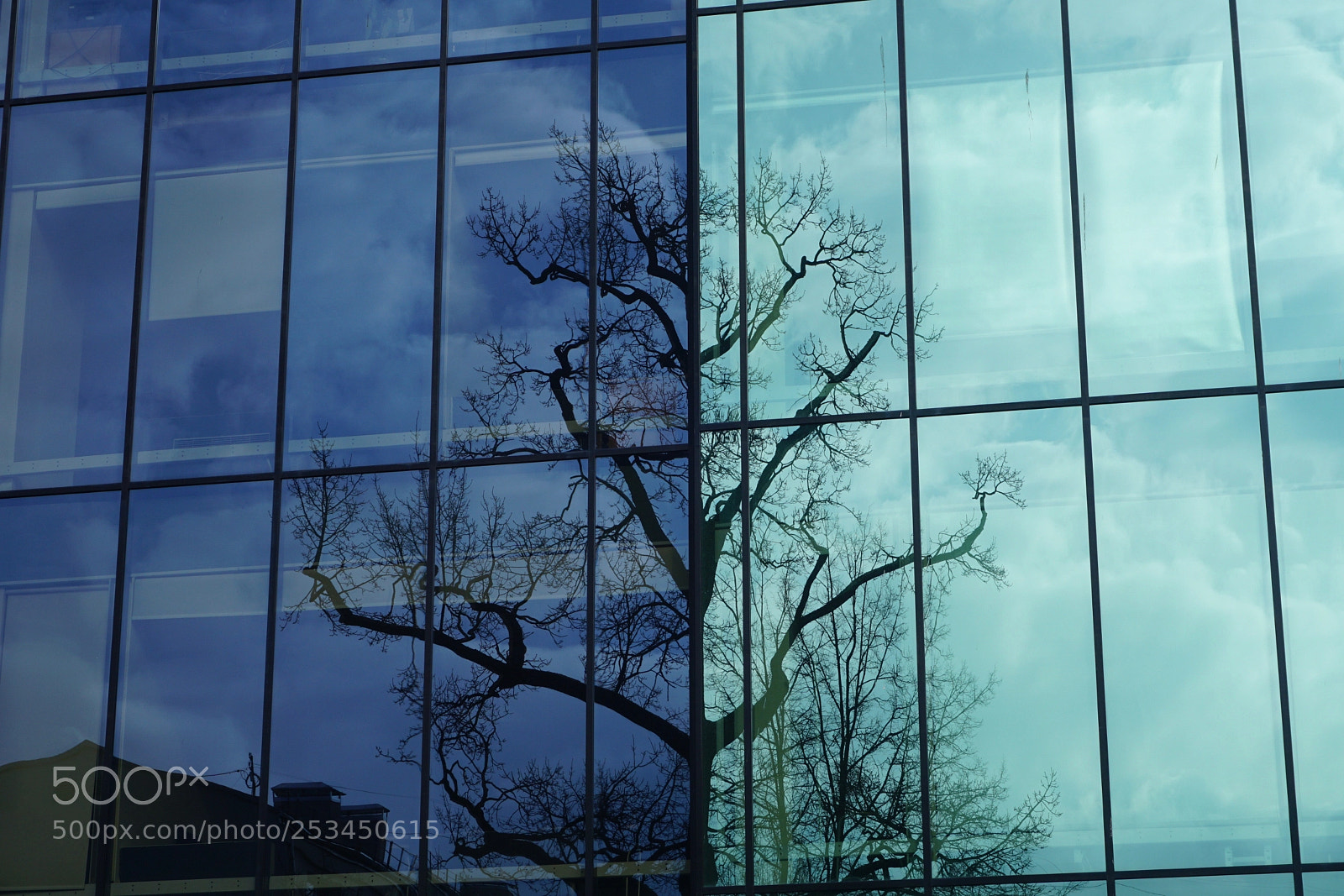 Sony a6000 sample photo. Simetry photography