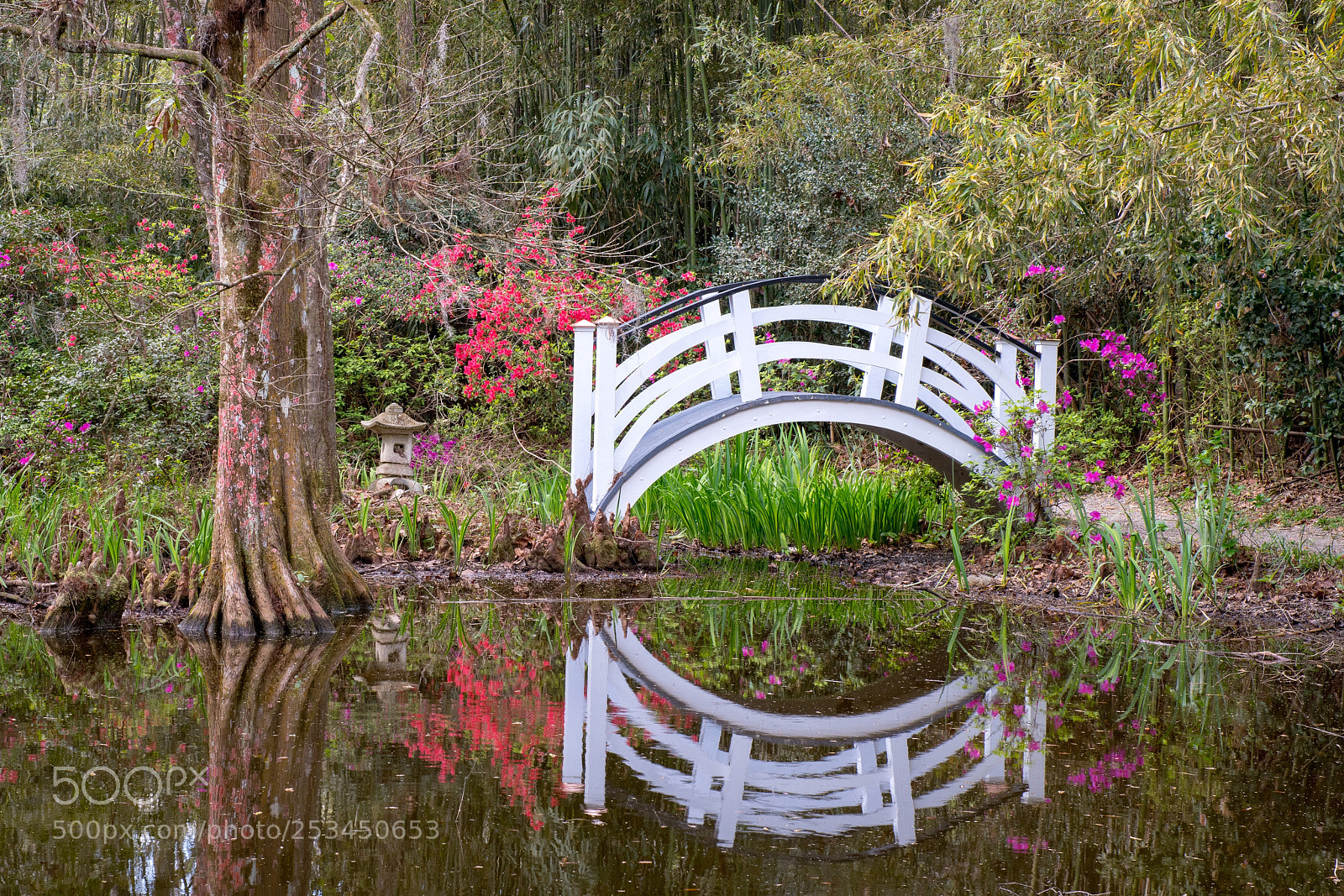 Nikon D850 sample photo. Peaceful crossing photography