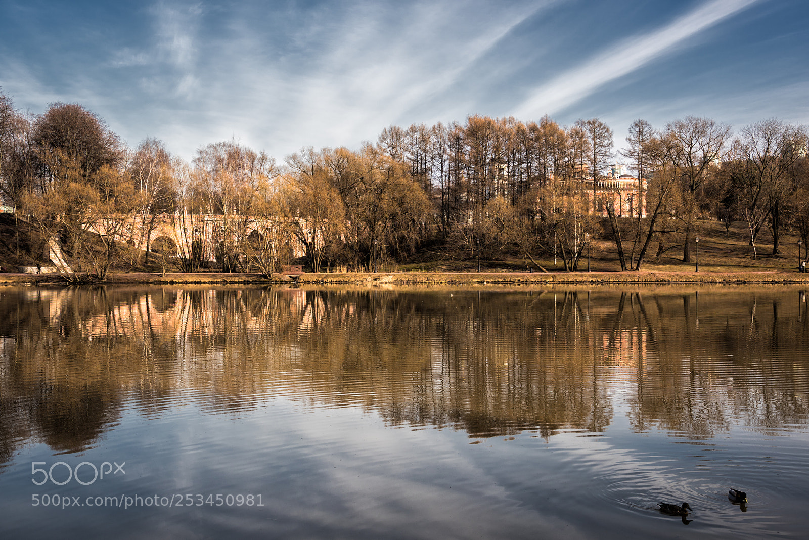 Nikon D810 sample photo. Reflections photography