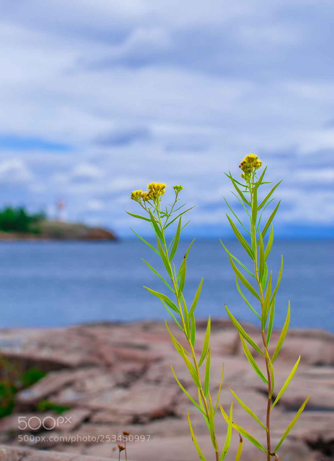 Nikon D5000 sample photo. Nature gazers photography