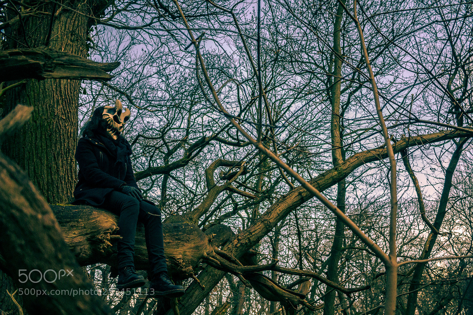 Canon EOS 7D sample photo. Devil on a tree photography