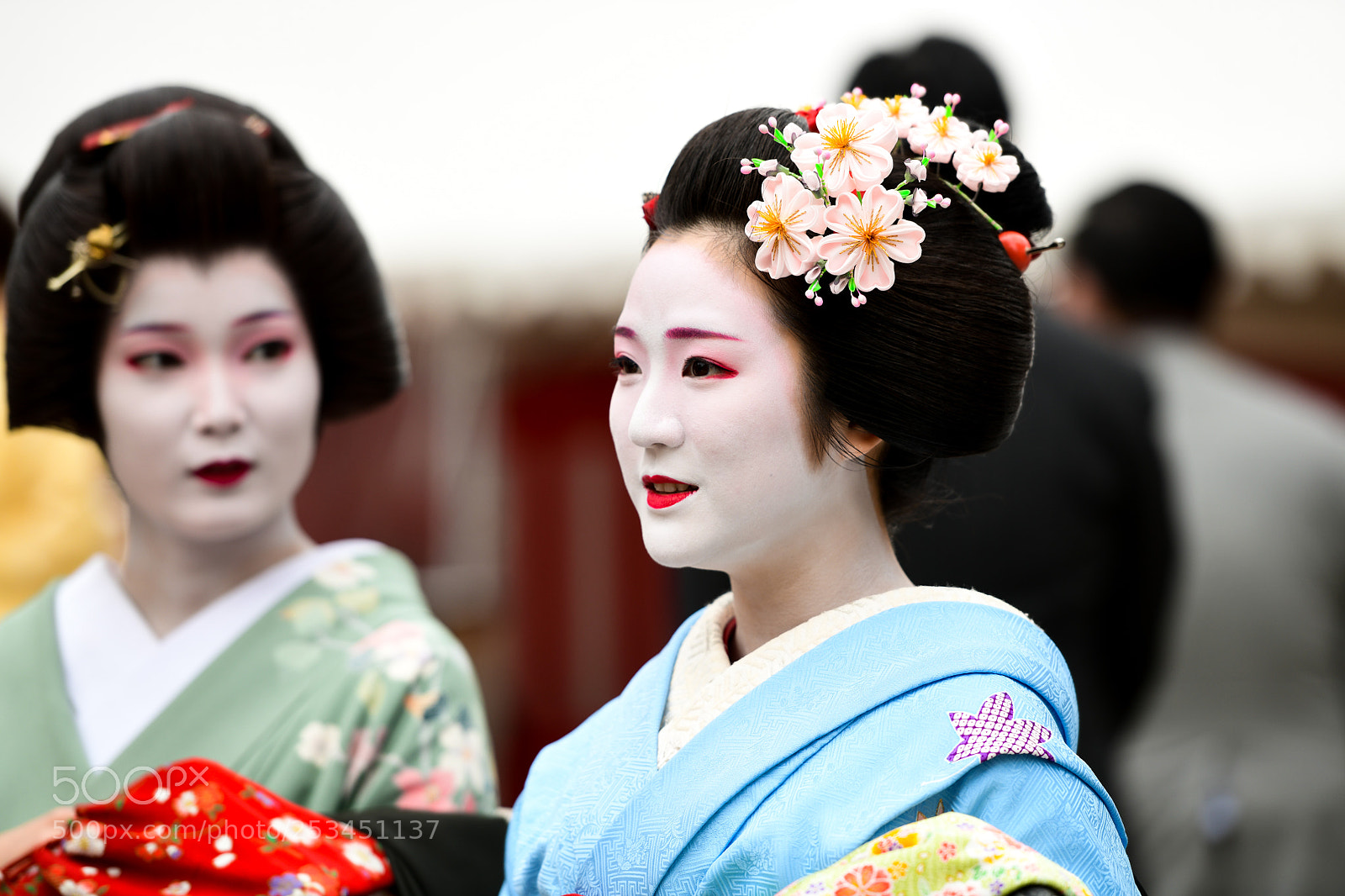 Nikon D850 sample photo. Geisha photography