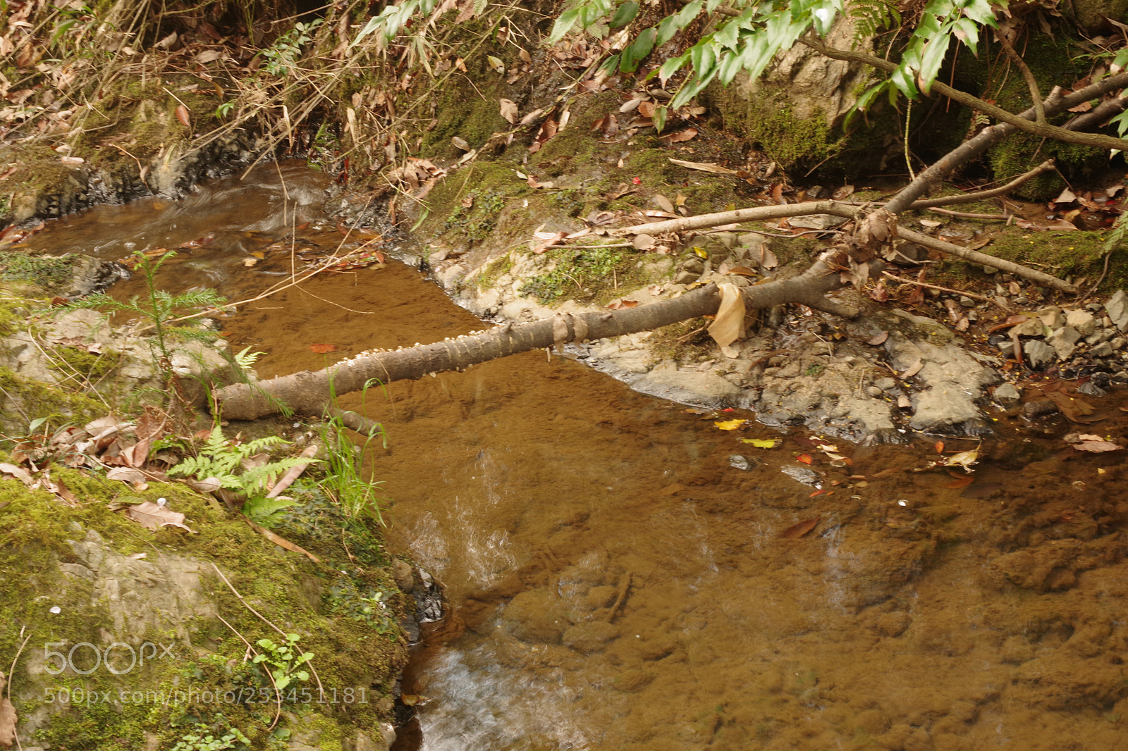 Pentax K-70 sample photo. Untitled photography
