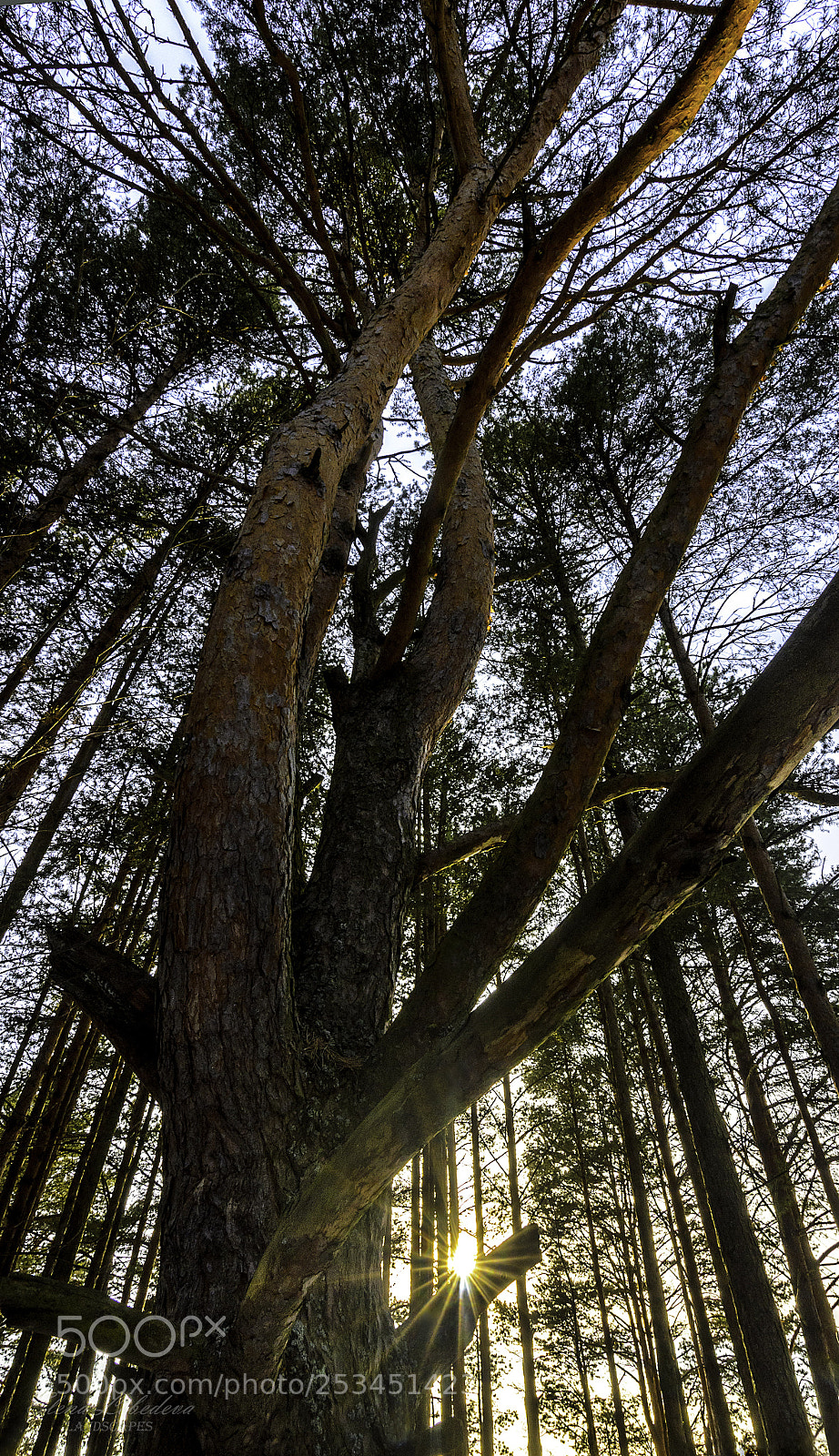 Nikon D7000 sample photo. Spring time photography