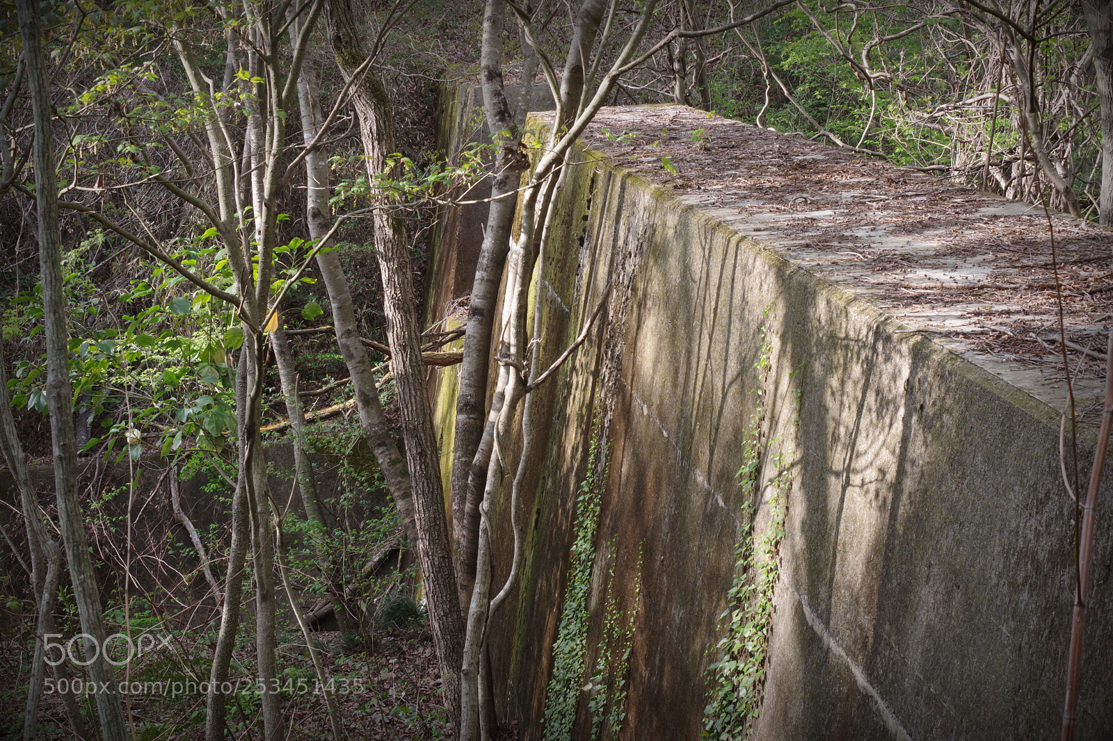 Pentax K-70 sample photo. Untitled photography