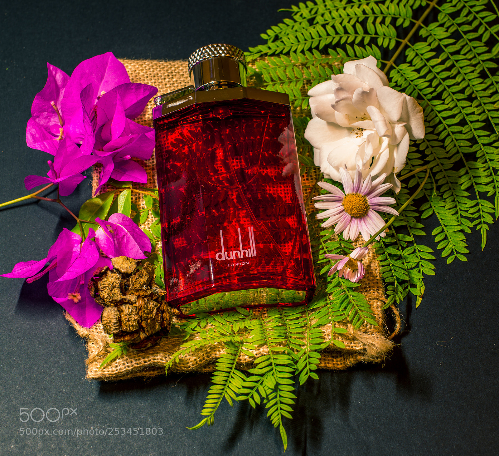 Nikon D800E sample photo. Untitled photography