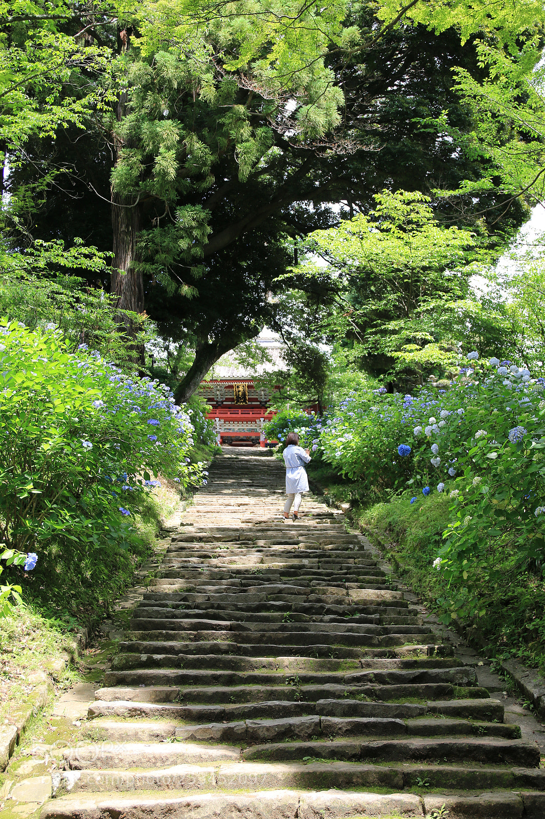 Canon EOS 70D sample photo. 雨引観音…参道 photography