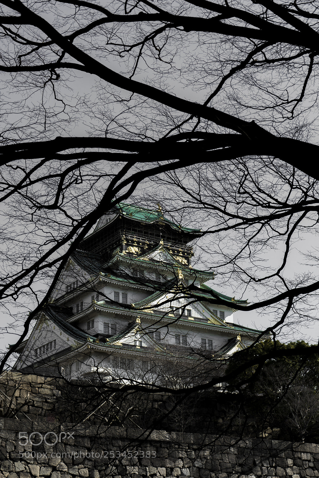 Sony a7 II sample photo. 大阪城 photography