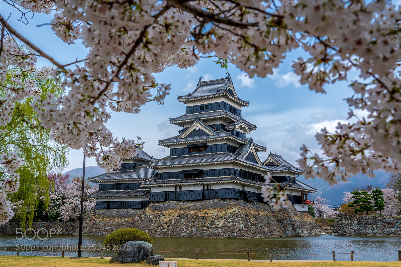 Sony a7 III sample photo. Matsumoto sakura photography