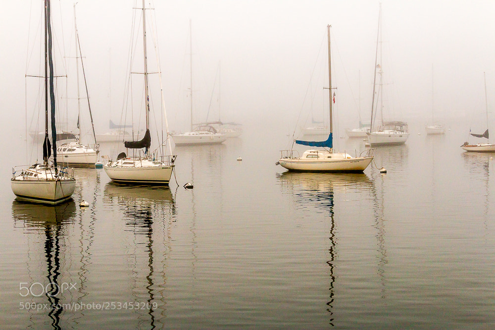 Canon EOS 70D sample photo. Some early morning fog photography