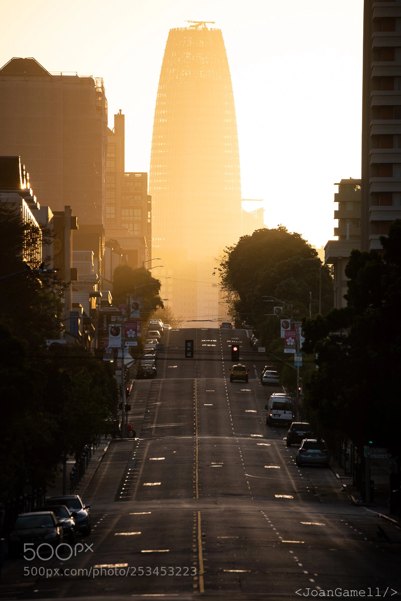 Sony a7R III sample photo. Post st photography