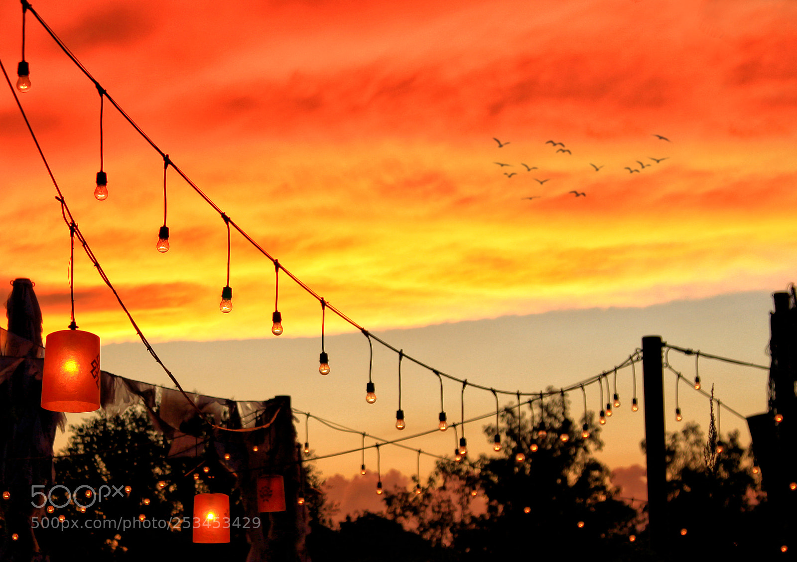 Canon EOS 600D (Rebel EOS T3i / EOS Kiss X5) sample photo. Orlando sunset photography