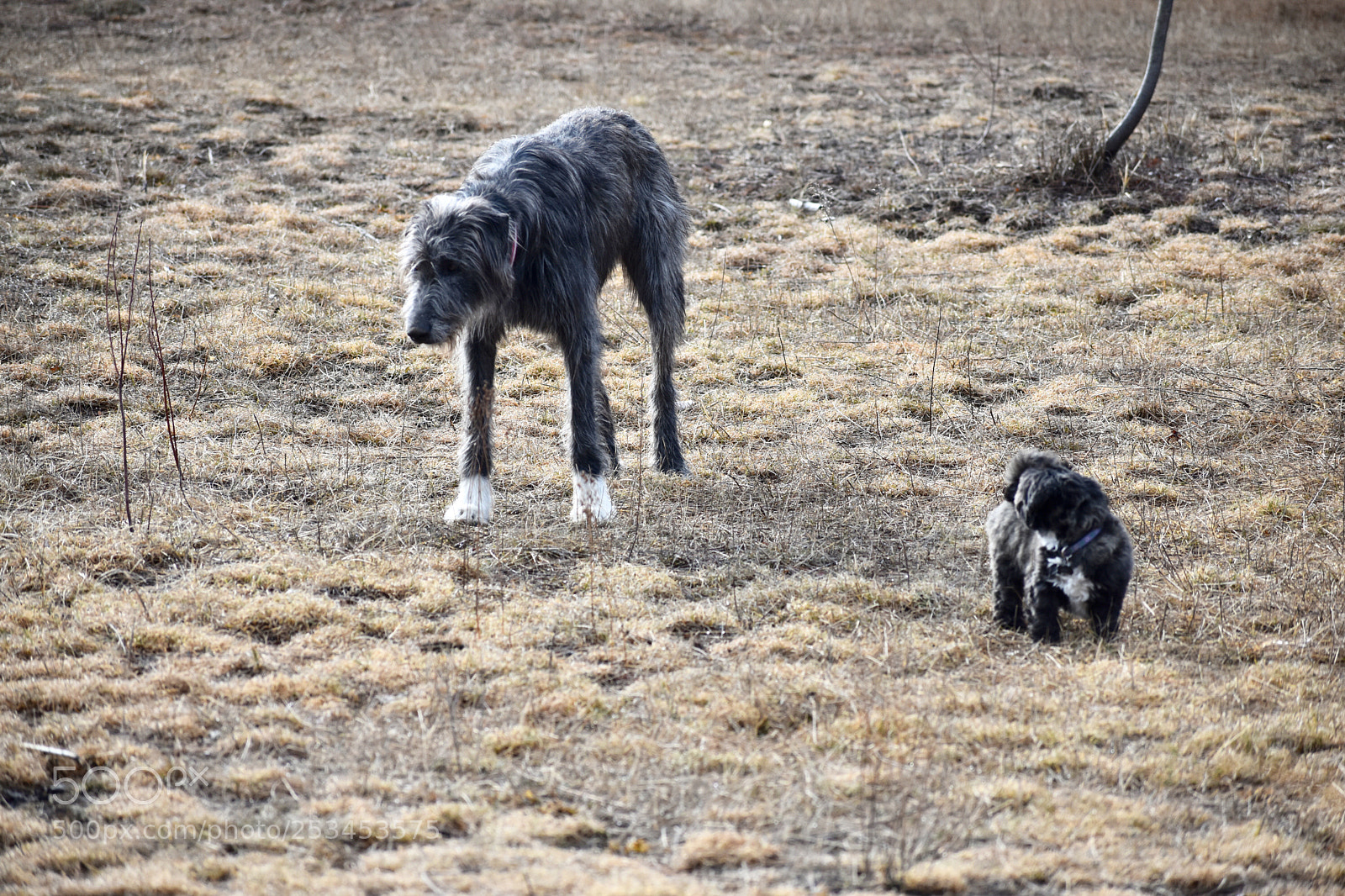 Nikon D3400 sample photo. If you want to photography