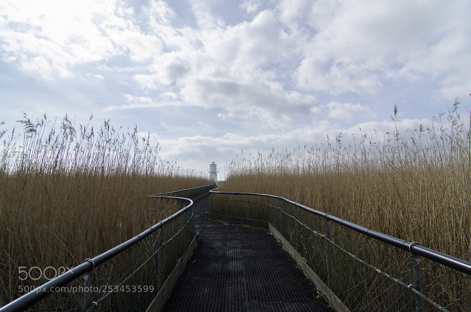 Nikon D7000 sample photo. Wetlands lighthouse photography