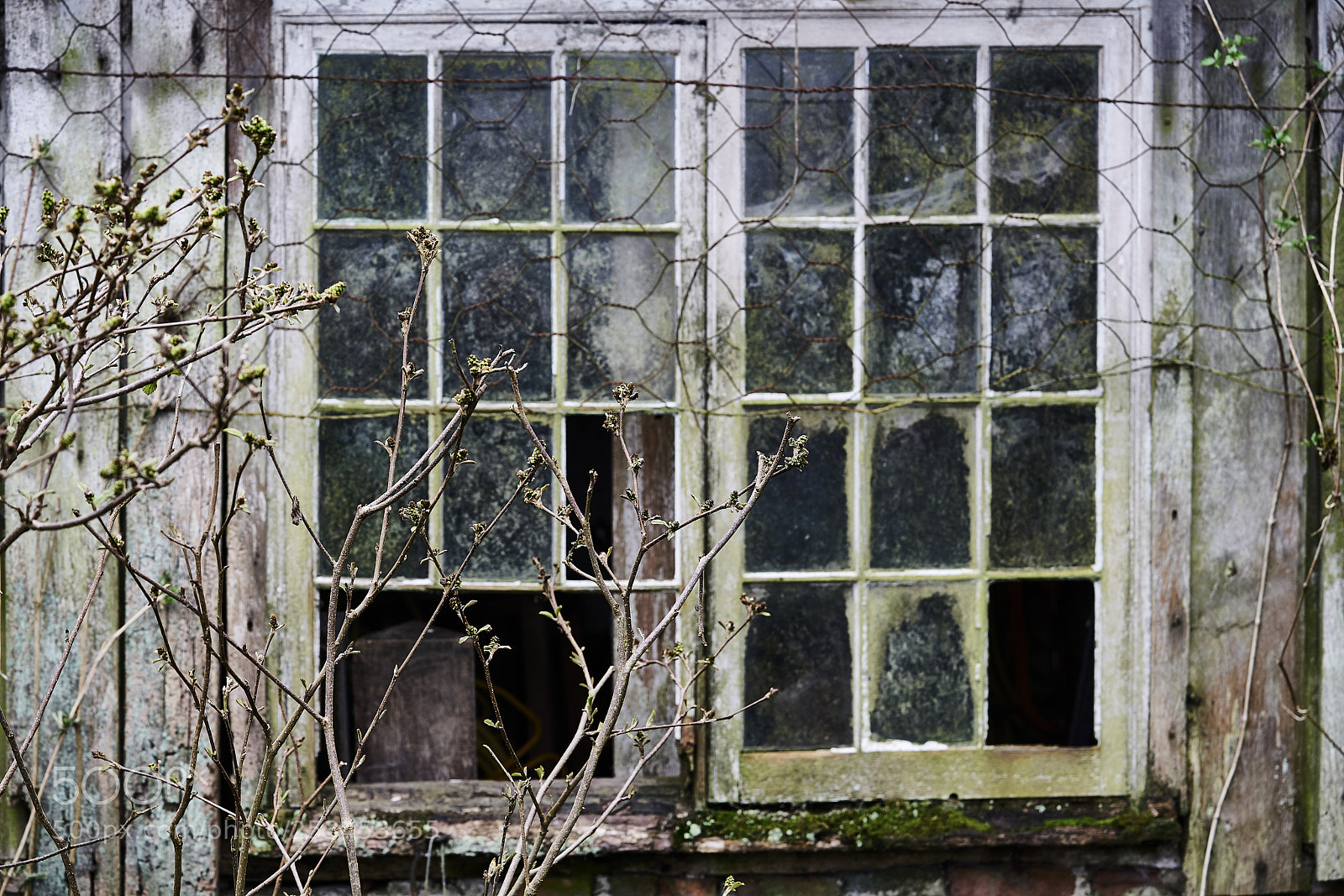 Sony a7R II sample photo. Rotting shed window photography