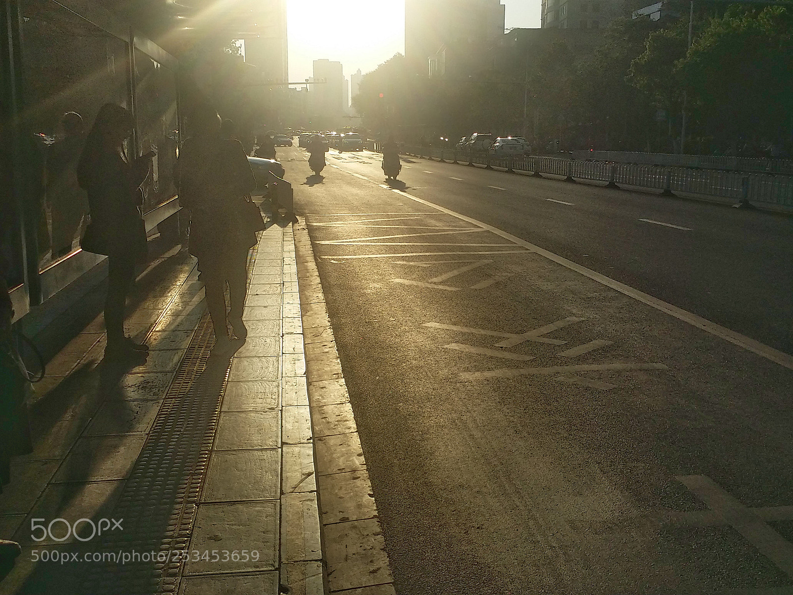 Samsung Galaxy S4 sample photo. Song of morning photography