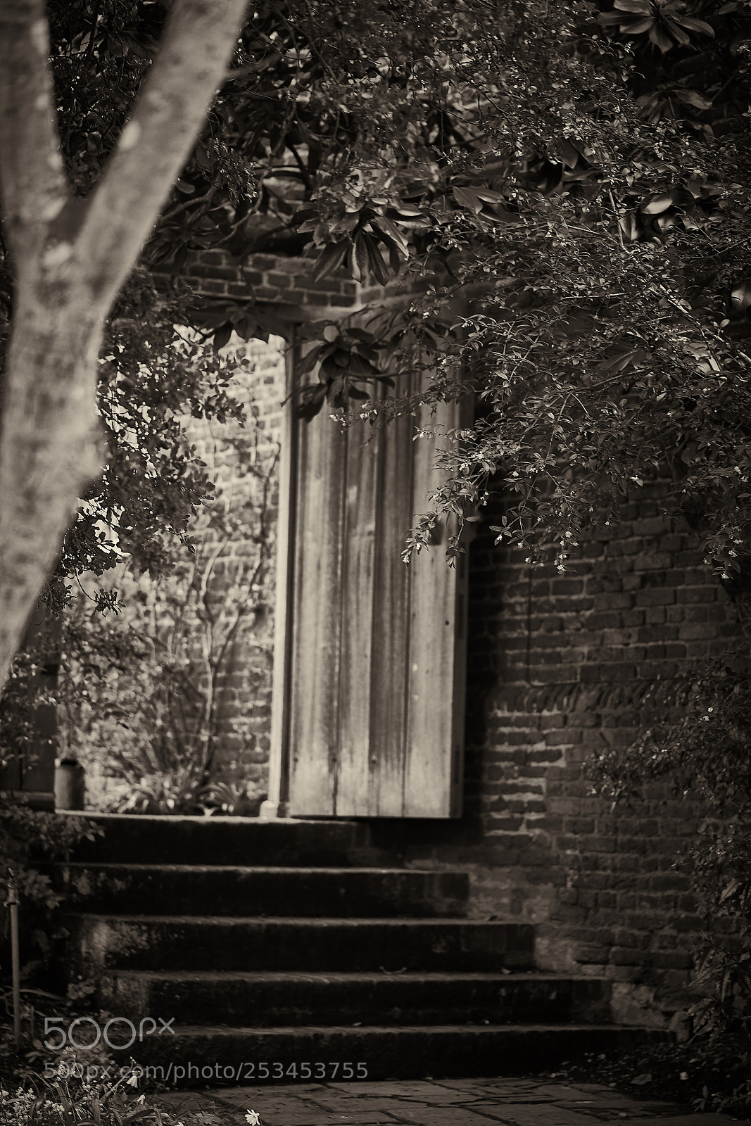 Sony a7R II sample photo. Mystery door photography