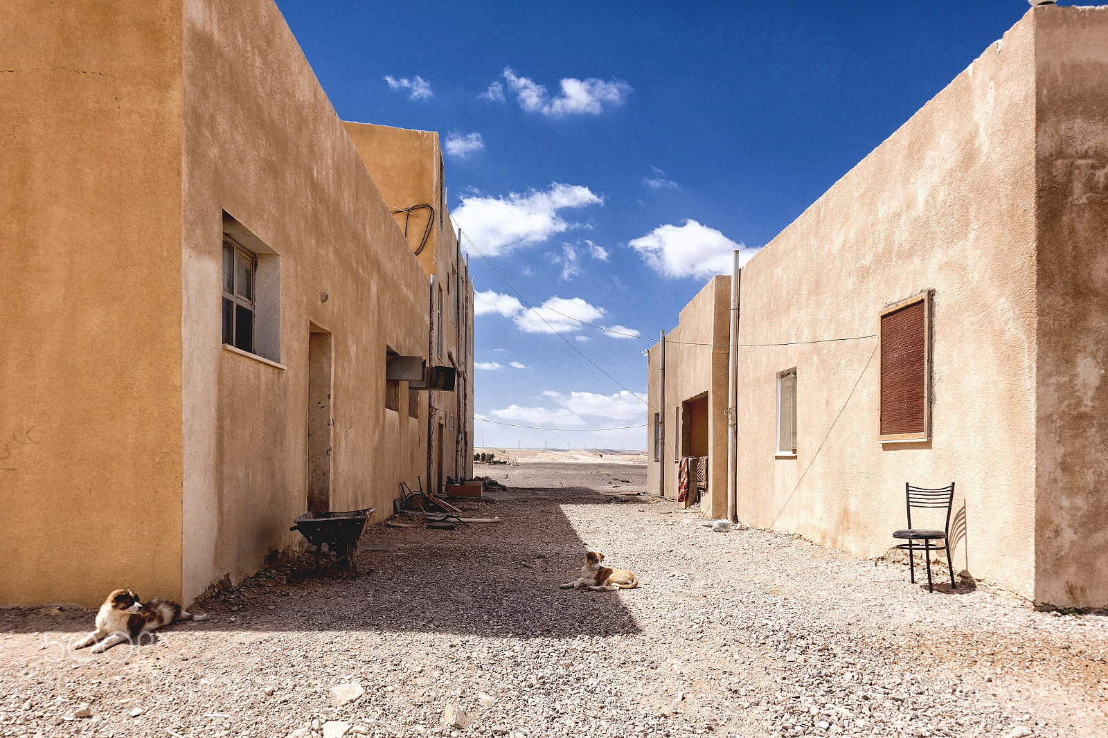 Canon EOS 50D sample photo. Wasteland photography