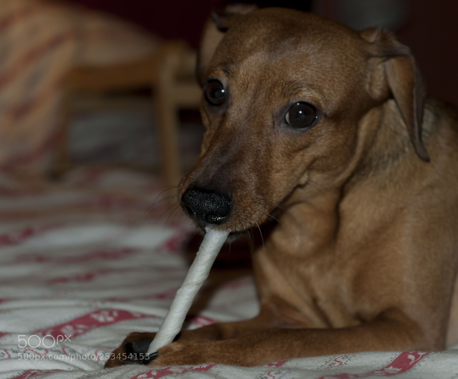 Nikon D200 sample photo. Nino e il suo photography